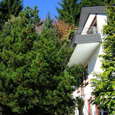 Ferienwohnung Napierski Willingen  Exterior photo